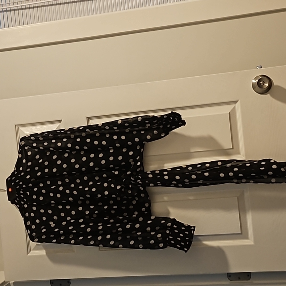 Akira  size large, polka dot long sleeve sheer top